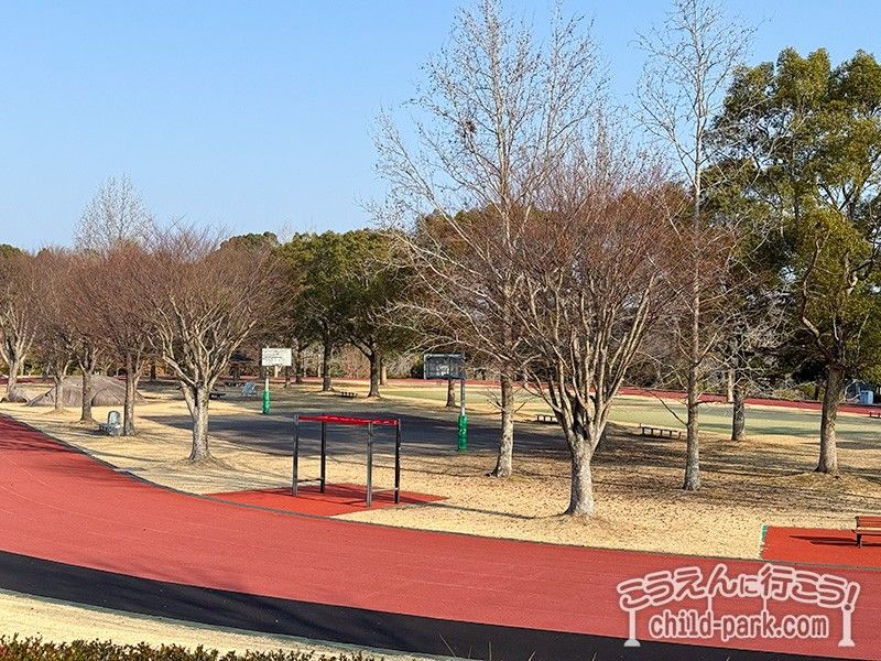 ウォーキングコースとバスケットコート