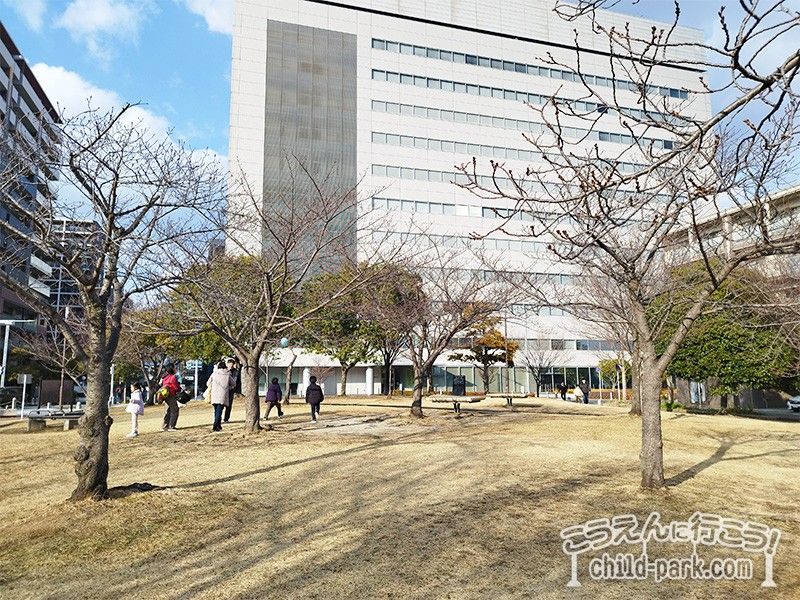 姪浜中央公園の芝生広場